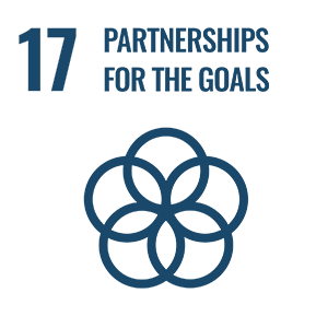 Sustainable Development Goals | Goal 17